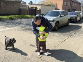 День добрых дел